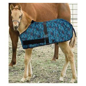 Signature Adjustable Turnout Foal Blanket  Kensington